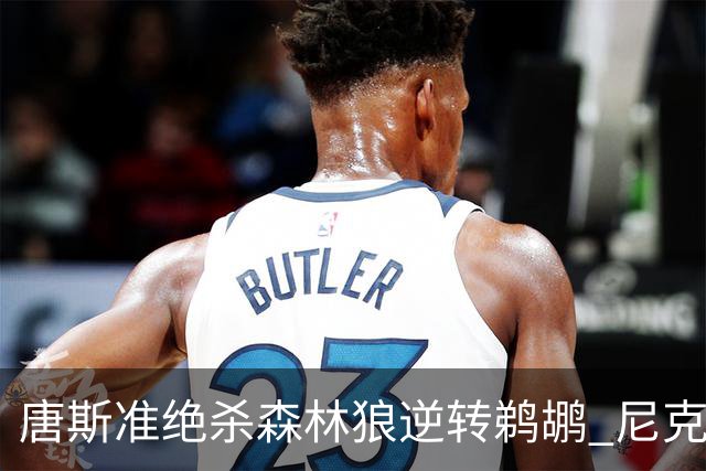 唐斯准绝杀森林狼逆转鹈鹕 尼克斯送黄蜂4连败